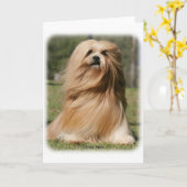 Lhasa Apso 9Y394D-104 Kaart (Gele Bloem)