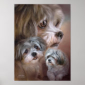 Lhasa Apso Art Poster/Afdruk Poster (Voorkant)