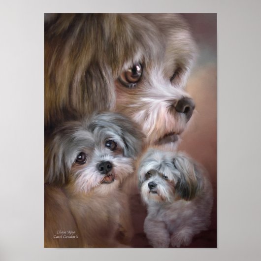 Lhasa Apso Art Poster/Afdruk Poster (Voorkant)