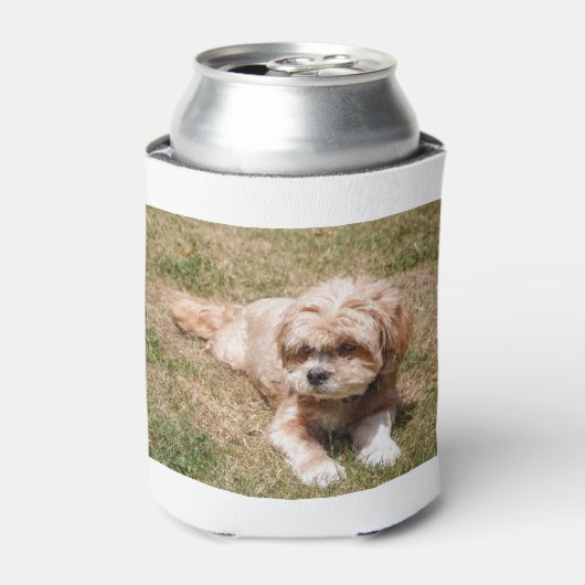 Lhasa Apso Blikjeskoeler (Blikje Voorkant)