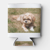 Lhasa Apso Blikjeskoeler (Voorkant)