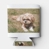 Lhasa Apso Blikjeskoeler (Achterkant)