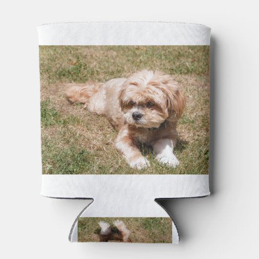 Lhasa Apso Blikjeskoeler (Achterkant)