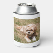 Lhasa Apso Blikjeskoeler (Blikje Achterkant)