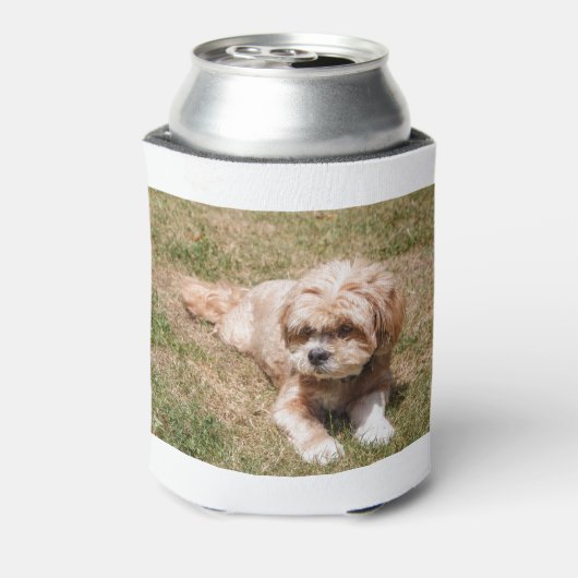 Lhasa Apso Blikjeskoeler (Blikje Achterkant)