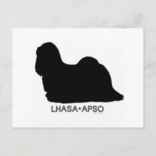 Lhasa Apso Briefkaart