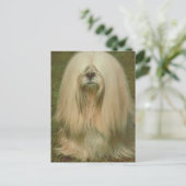 Lhasa Apso Briefkaart (Staand voorkant)