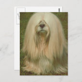 Lhasa Apso Briefkaart (Voorkant / Achterkant)
