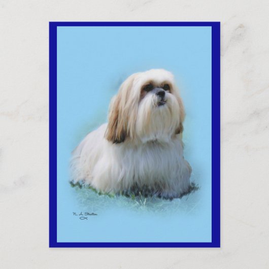 Lhasa Apso Briefkaart (Voorkant)