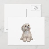 Lhasa Apso (C) - Lichtgoud Briefkaart (Voorkant / Achterkant)