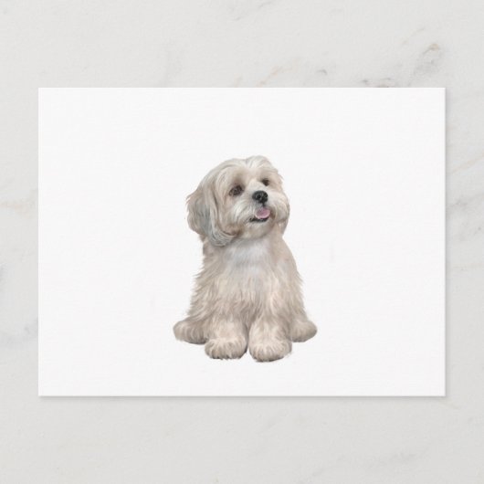 Lhasa Apso (C) - Lichtgoud Briefkaart (Voorkant)