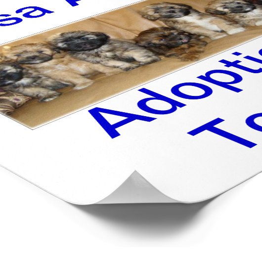 Lhasa Apso Dog Adoptions Today Signs Poster (Hoek)