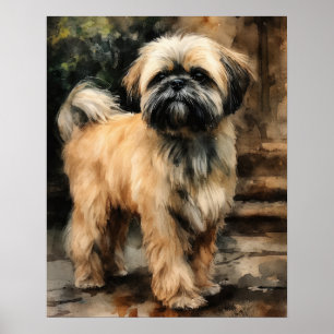 Lhasa Apso Dog Art Print Poster