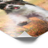 Lhasa Apso Dog HOGE TAIL HOME Foto Afdruk (Hoek)