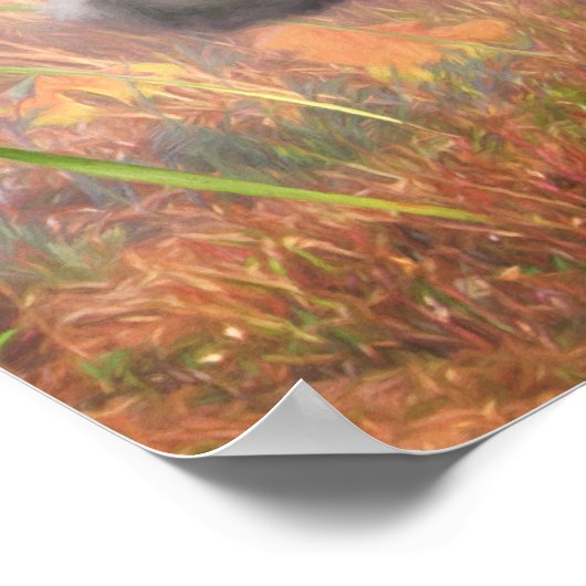 Lhasa Apso Dog HOGE TAIL HOME Poster (Hoek)