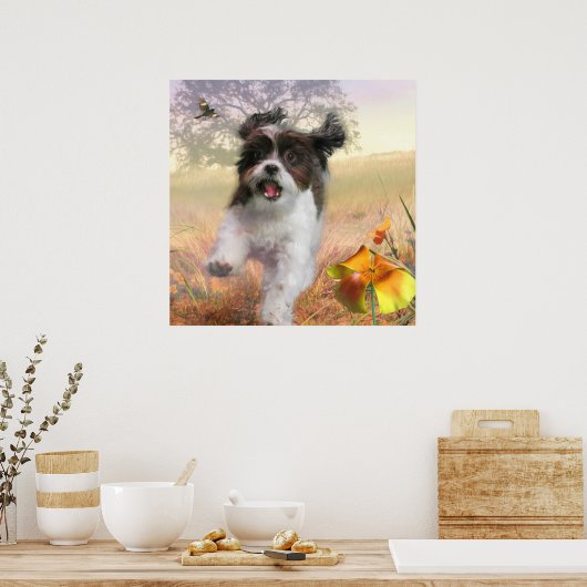 Lhasa Apso Dog HOGE TAIL HOME Poster (Keuken)