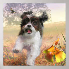 Lhasa Apso Dog HOGE TAIL HOME Poster