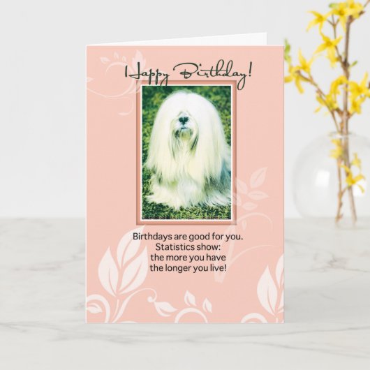 Lhasa Apso Dog Humorreuze verjaardag Kaart (Gele Bloem)