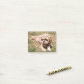 Lhasa Apso dog Post-it® Notes (Op bureau)