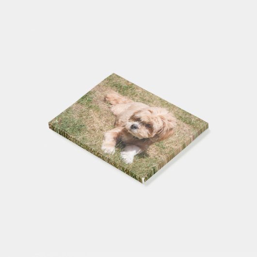 Lhasa Apso dog Post-it® Notes (Schuin)