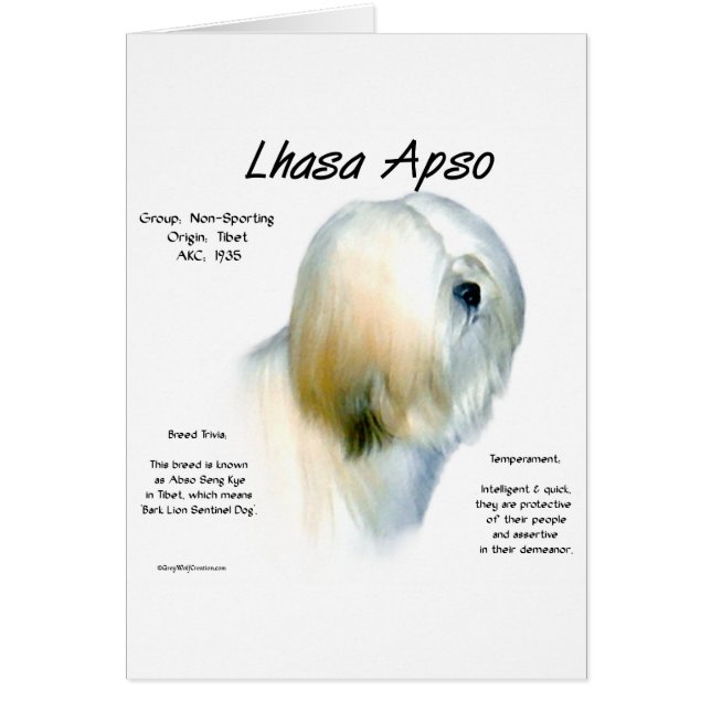 Lhasa Apso Geschiedenis Ontwerp (Voorkant)