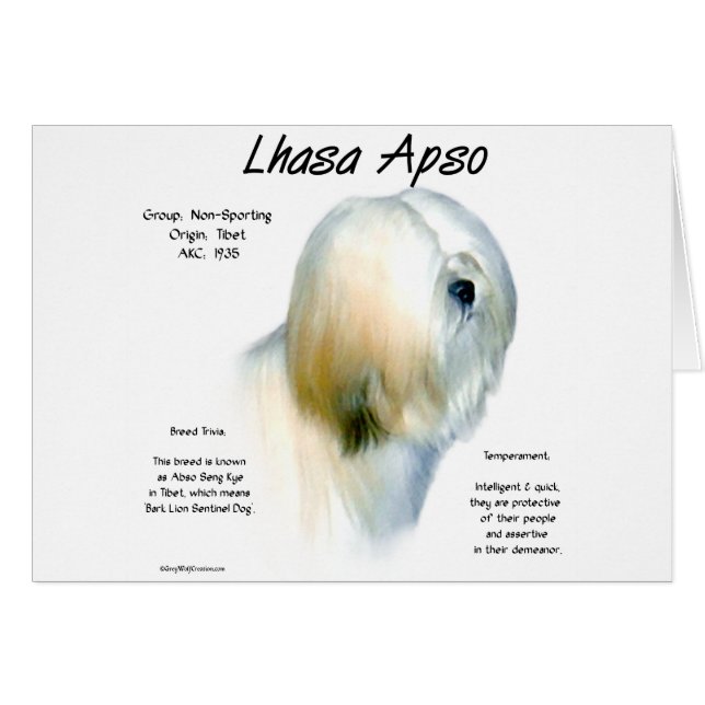 Lhasa Apso Geschiedenis Ontwerp (Voorkant Horizontaal)