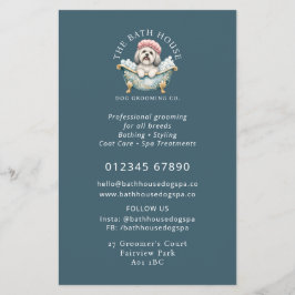 Lhasa Apso hond verzorging promotie flyer - Teal