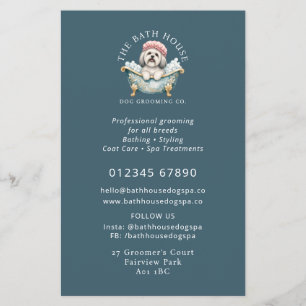Lhasa Apso hond verzorging promotie flyer - Teal
