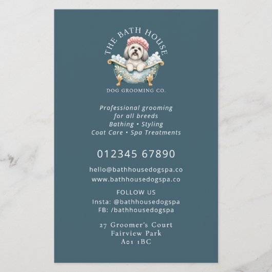 Lhasa Apso hond verzorging promotie flyer - Teal (Voorkant)