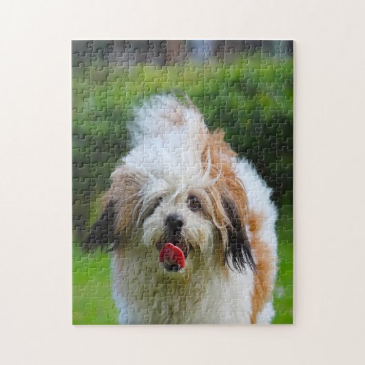 Lhasa Apso-hondenras. Legpuzzel (Verticaal)