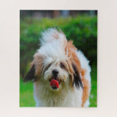Lhasa Apso Hondenras. Legpuzzel (Verticaal)