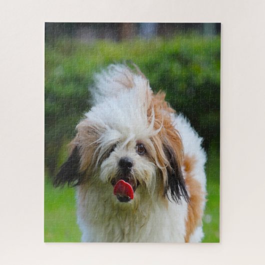 Lhasa Apso Hondenras. Legpuzzel (Verticaal)