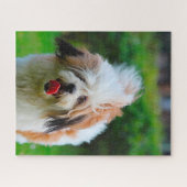 Lhasa Apso Hondenras. Legpuzzel (Horizontaal)