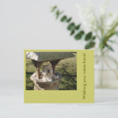 Lhasa Apso in een put Briefkaart (Staand voorkant)