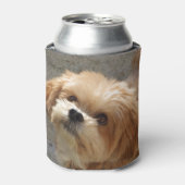 Lhasa Apso in een tuin Blikjeskoeler (Blikje Voorkant)