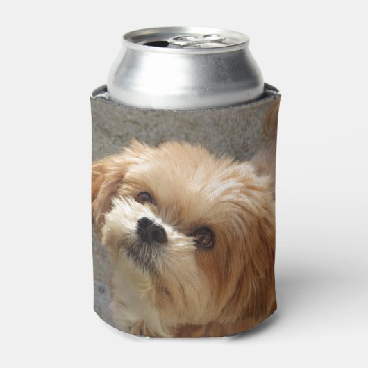 Lhasa Apso in een tuin Blikjeskoeler (Blikje Voorkant)