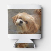 Lhasa Apso in een tuin Blikjeskoeler (Achterkant)