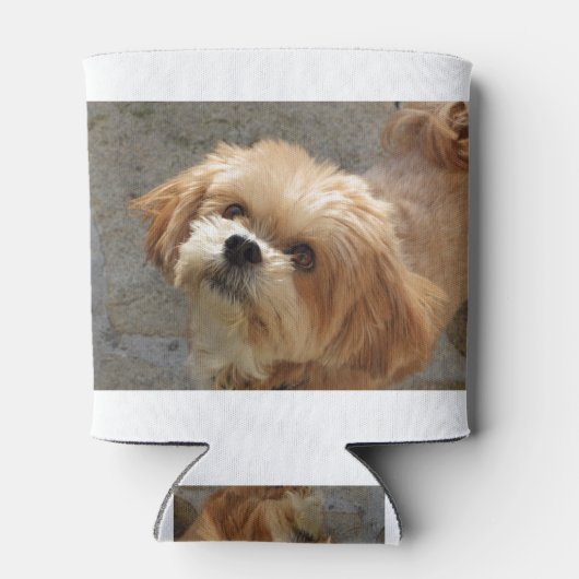 Lhasa Apso in een tuin Blikjeskoeler (Achterkant)