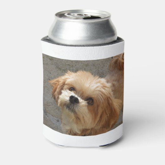 Lhasa Apso in een tuin Blikjeskoeler (Blikje Achterkant)