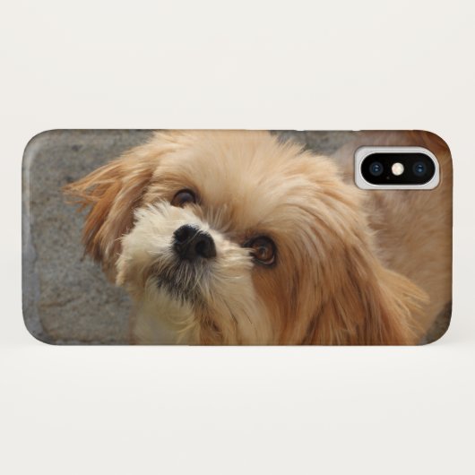 Lhasa Apso in een tuin Case-Mate iPhone Case (Achterkant (horizontaal))