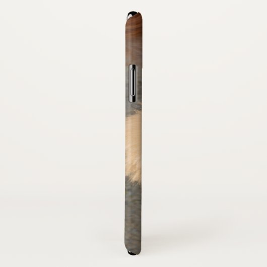 Lhasa Apso in een tuin Case-Mate iPhone Case (Achterkant / rechts)