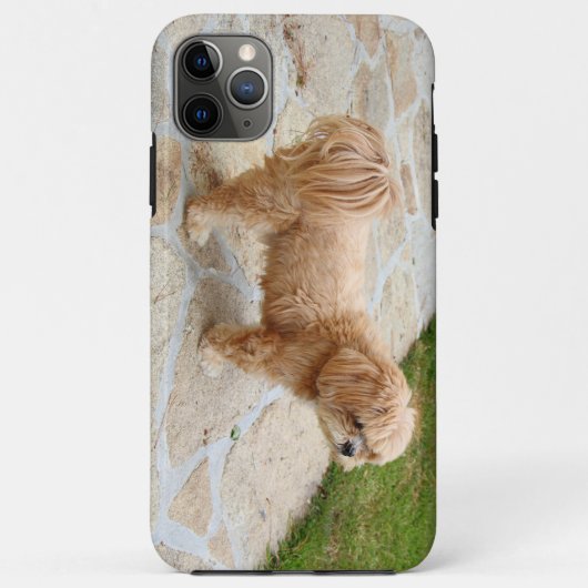 Lhasa Apso in een tuin Case-Mate iPhone Case (Achterkant)