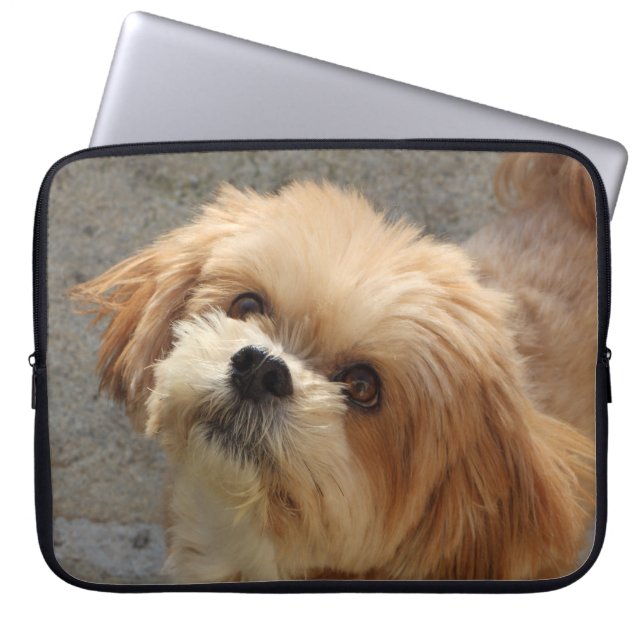 Lhasa Apso in een tuin Laptop Sleeve (Voorkant)