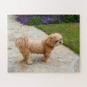 Lhasa Apso in een tuin Legpuzzel (Horizontaal)