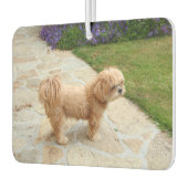 Lhasa Apso in een tuin Luchtverfrisser (Links)