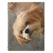 Lhasa Apso in een tuin Notitieboek (Voorkant)
