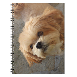 Lhasa Apso in een tuin Notitieboek