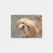 Lhasa Apso in een tuin Post-it® Notes (Voorkant)