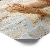 Lhasa Apso in een tuin Poster (Hoek)