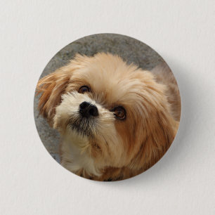 Lhasa Apso in een tuin Ronde Button 5,7 Cm